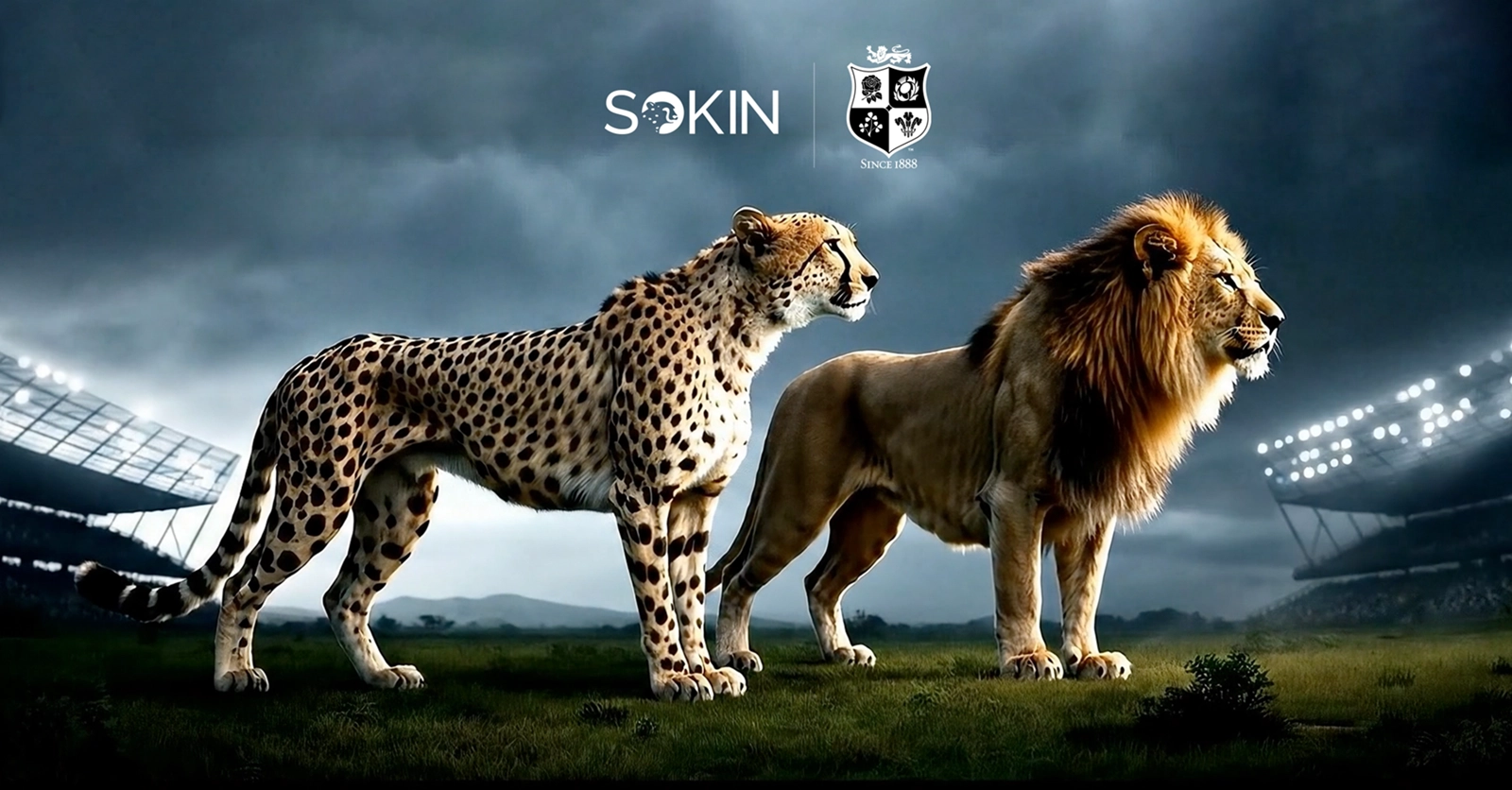 Sokin becomes Official Global Payments Partner of The British & Irish Lions Men’s Team