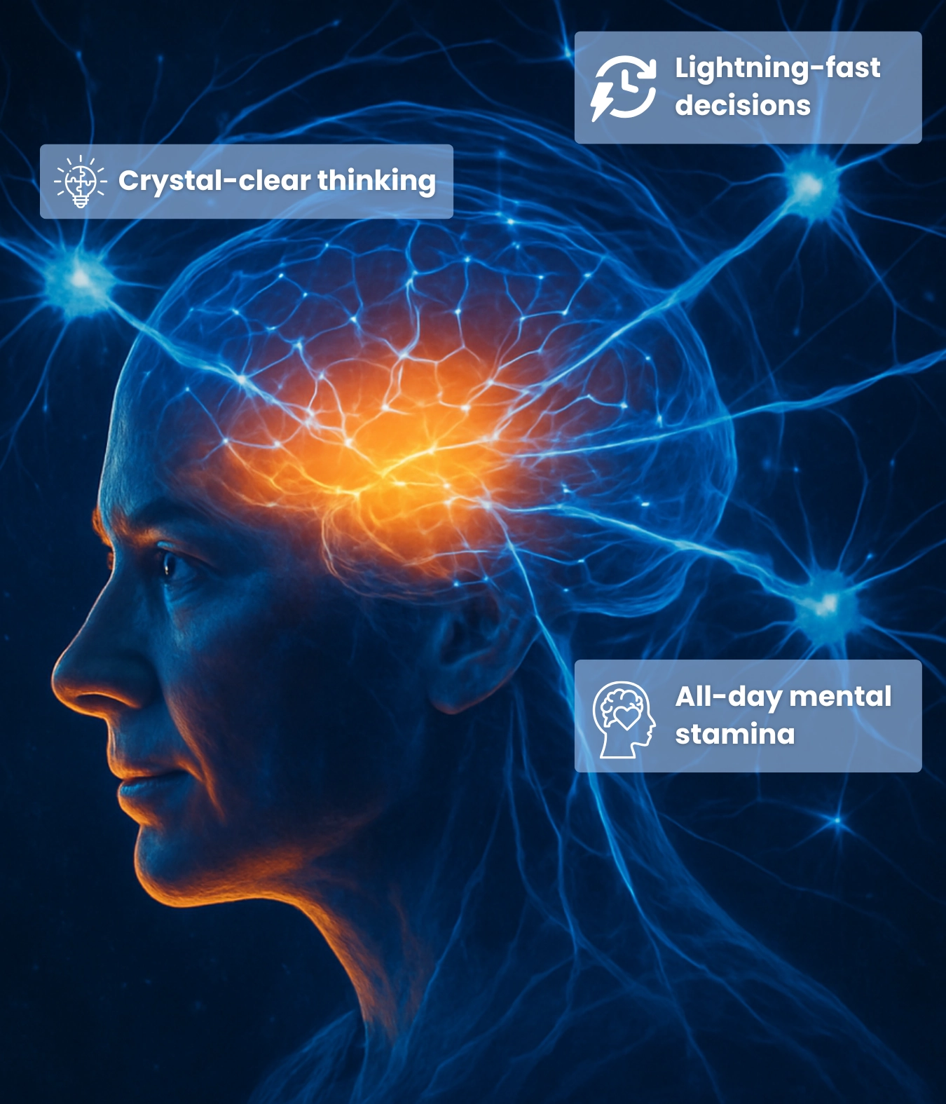 Brain fuel