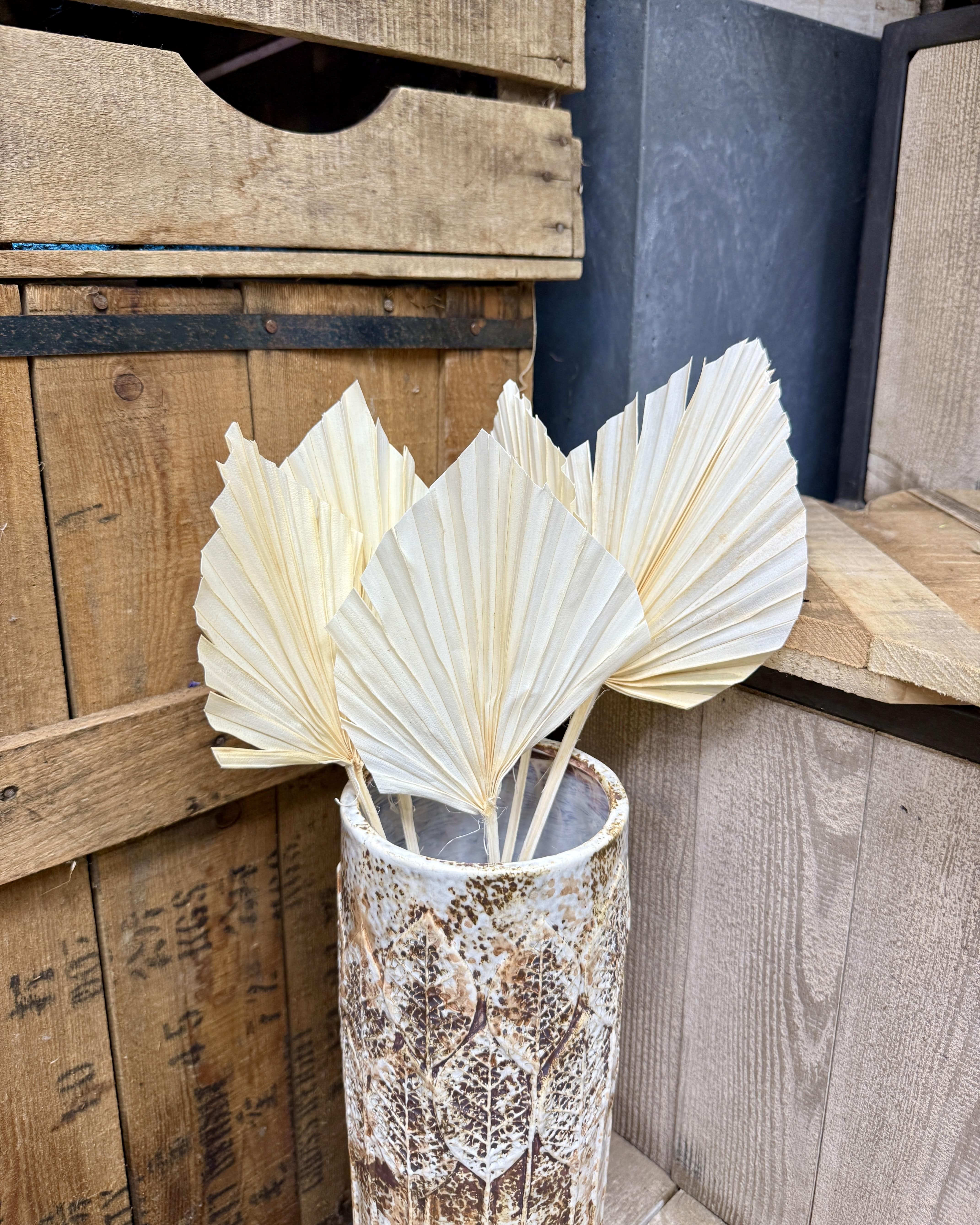 Bouquet de fleurs séchées palme blanche
