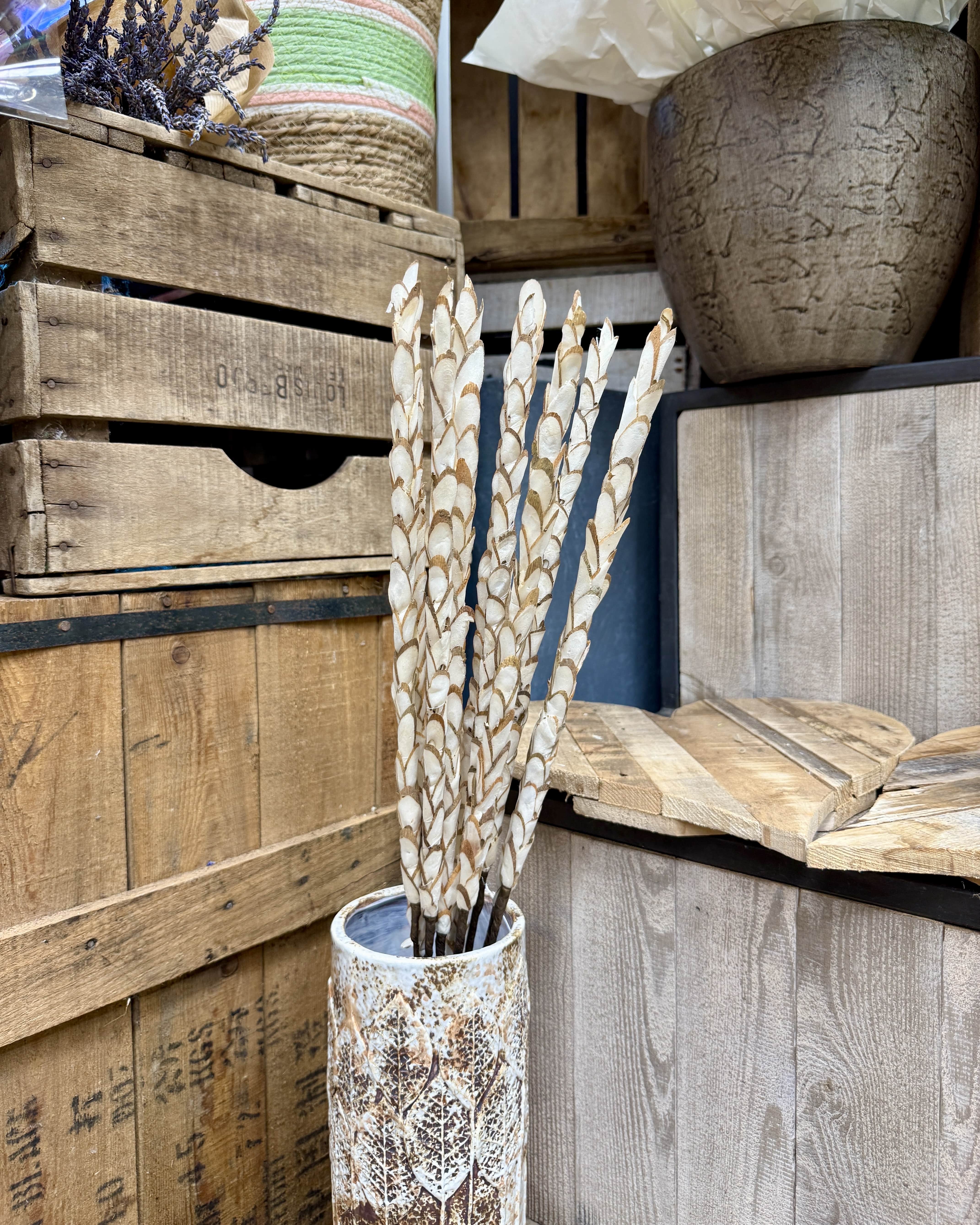 Bouquet de fleurs séchées décoration blanche 