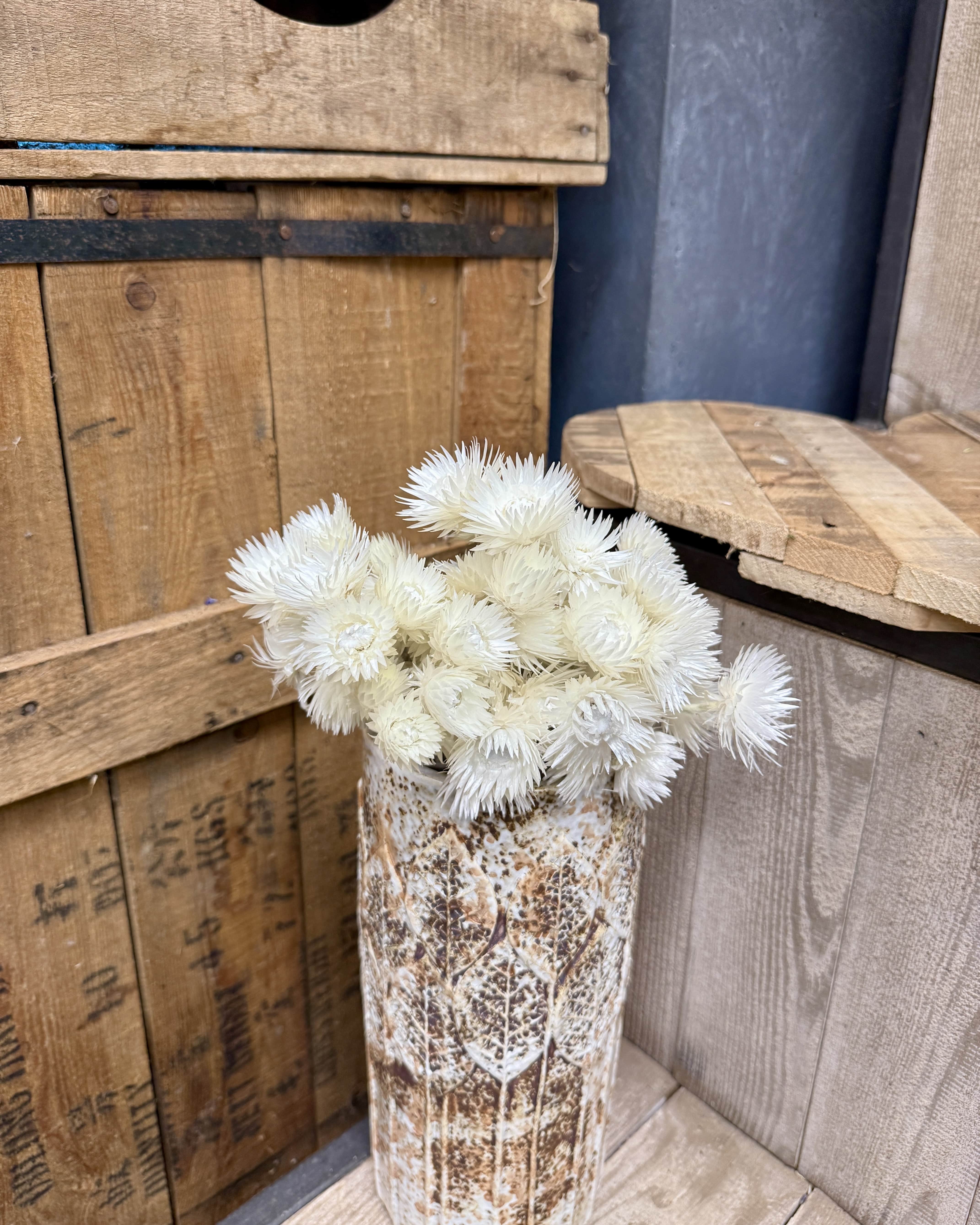 Bouquet de fleurs séchées d'immortelle blanche