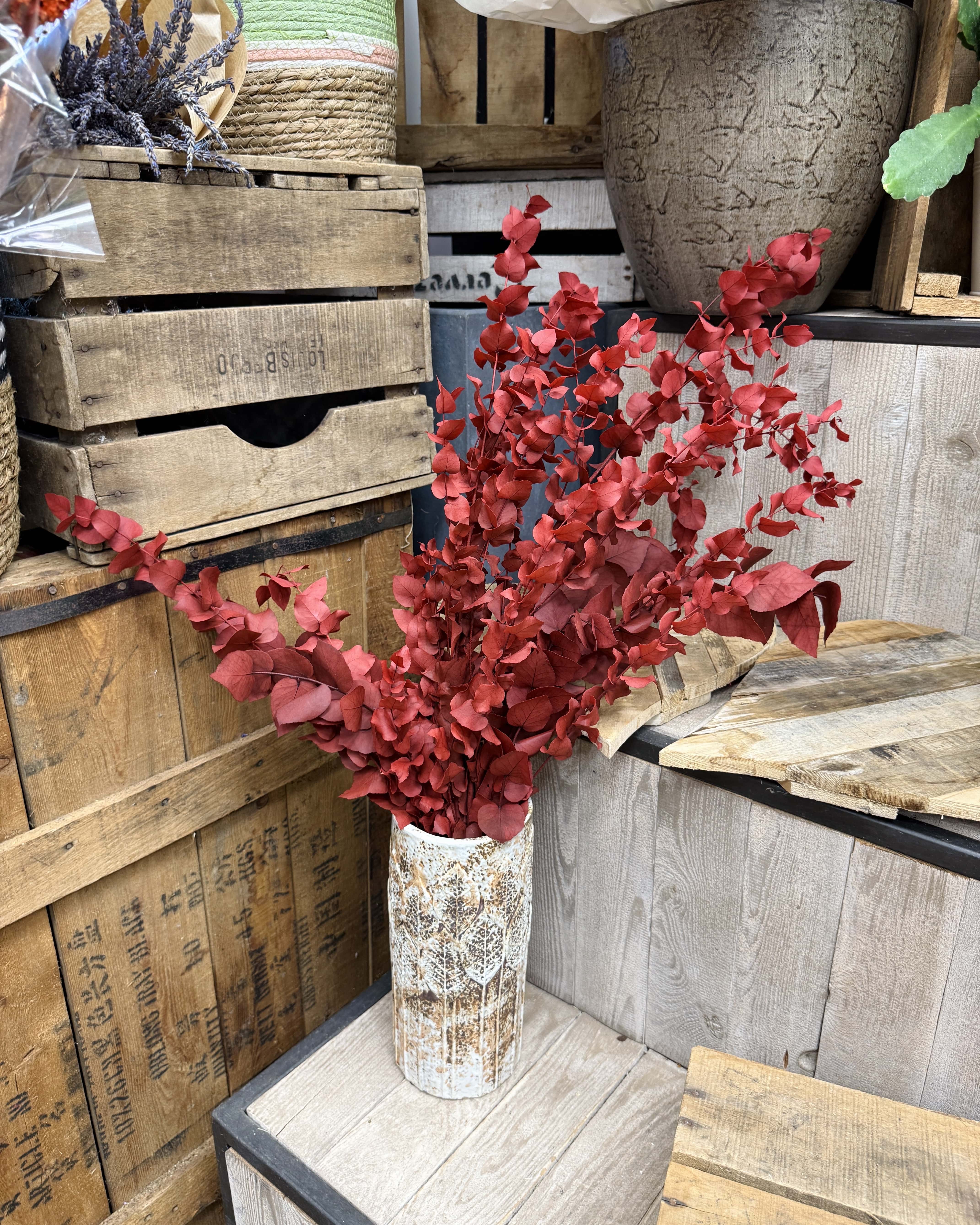 Bouquet d'eucalyptus stabilisé rouge