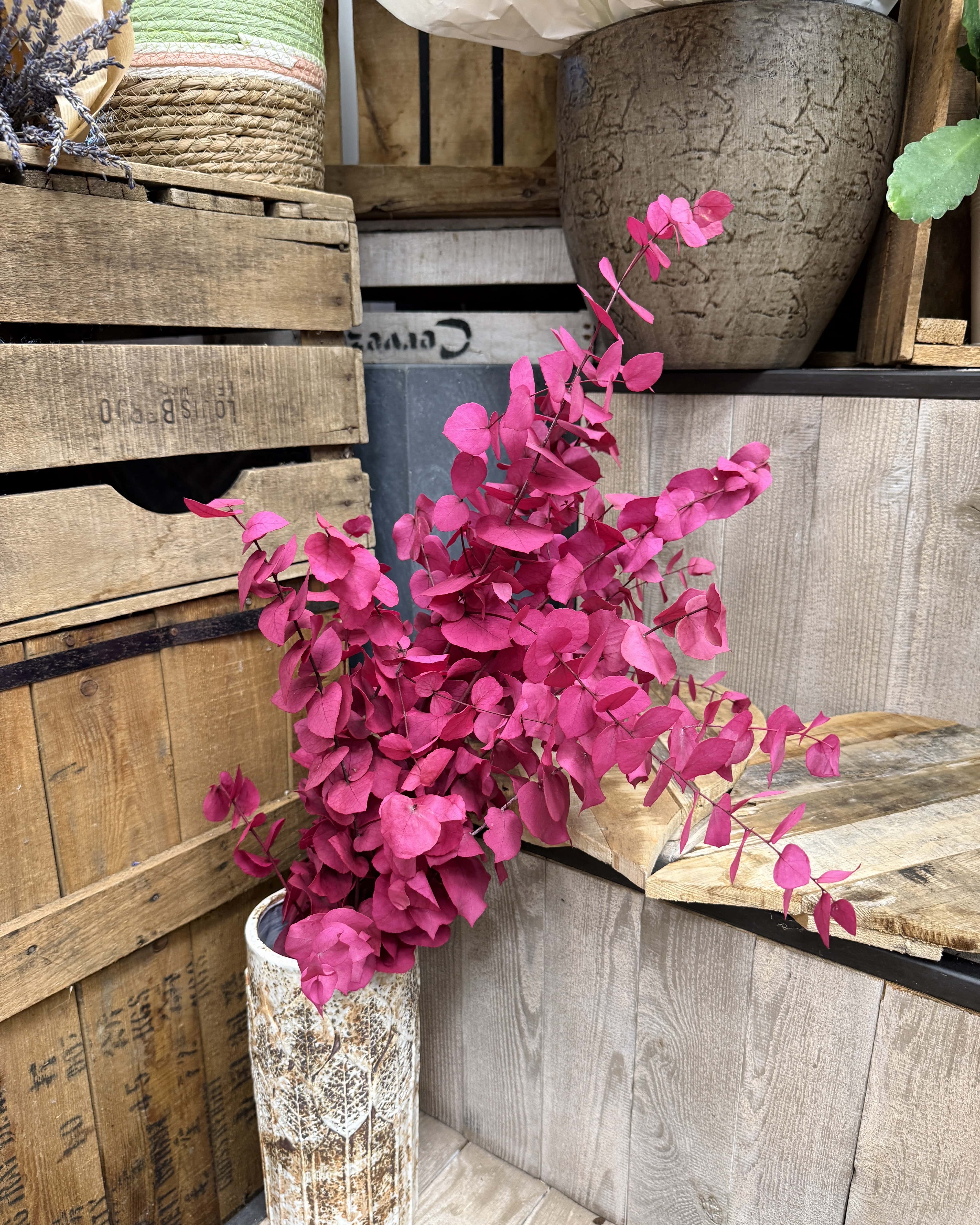 Bouquet d'eucalyptus stabilisé rose fushia