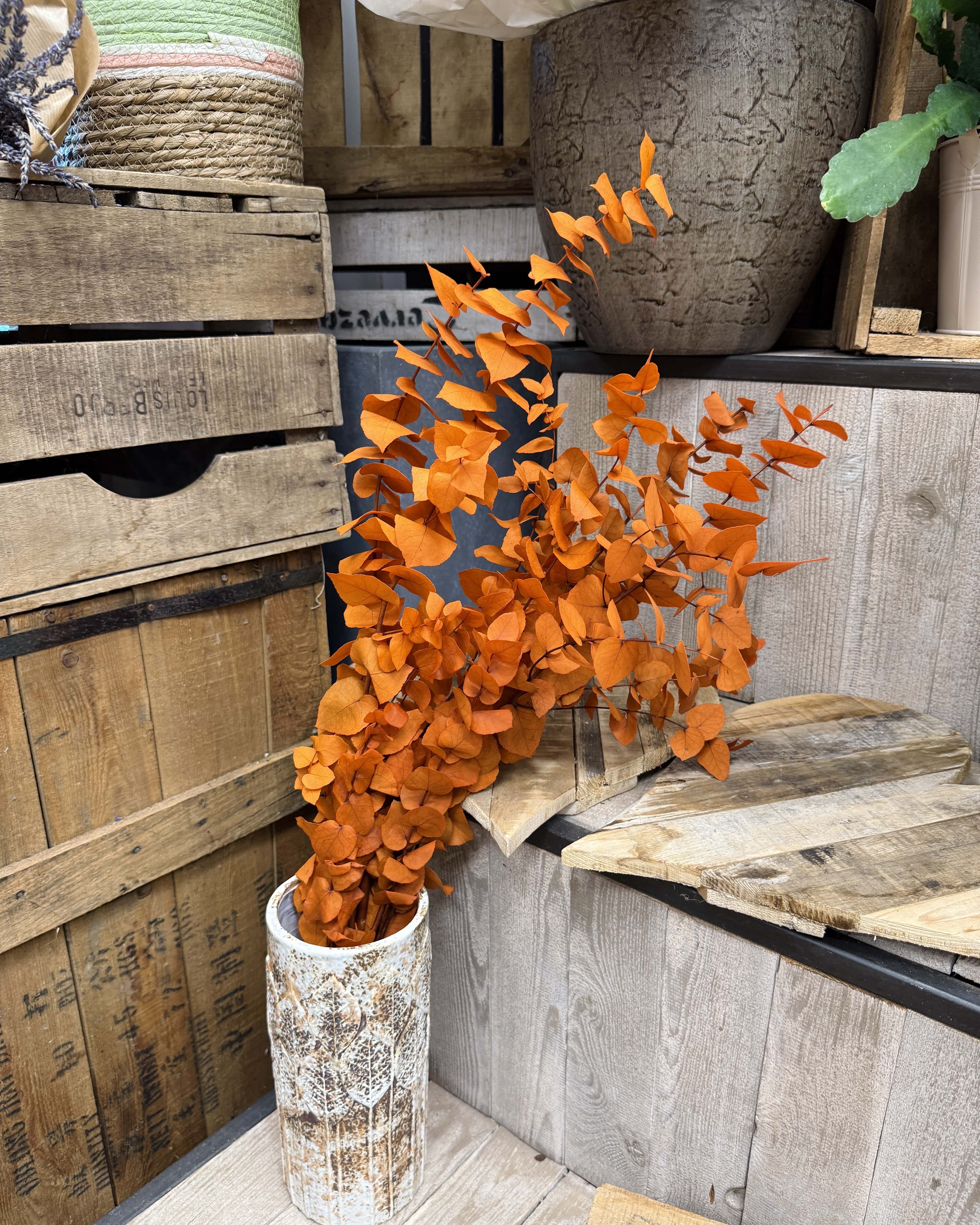 Bouquet d'eucalyptus stabilisé orange