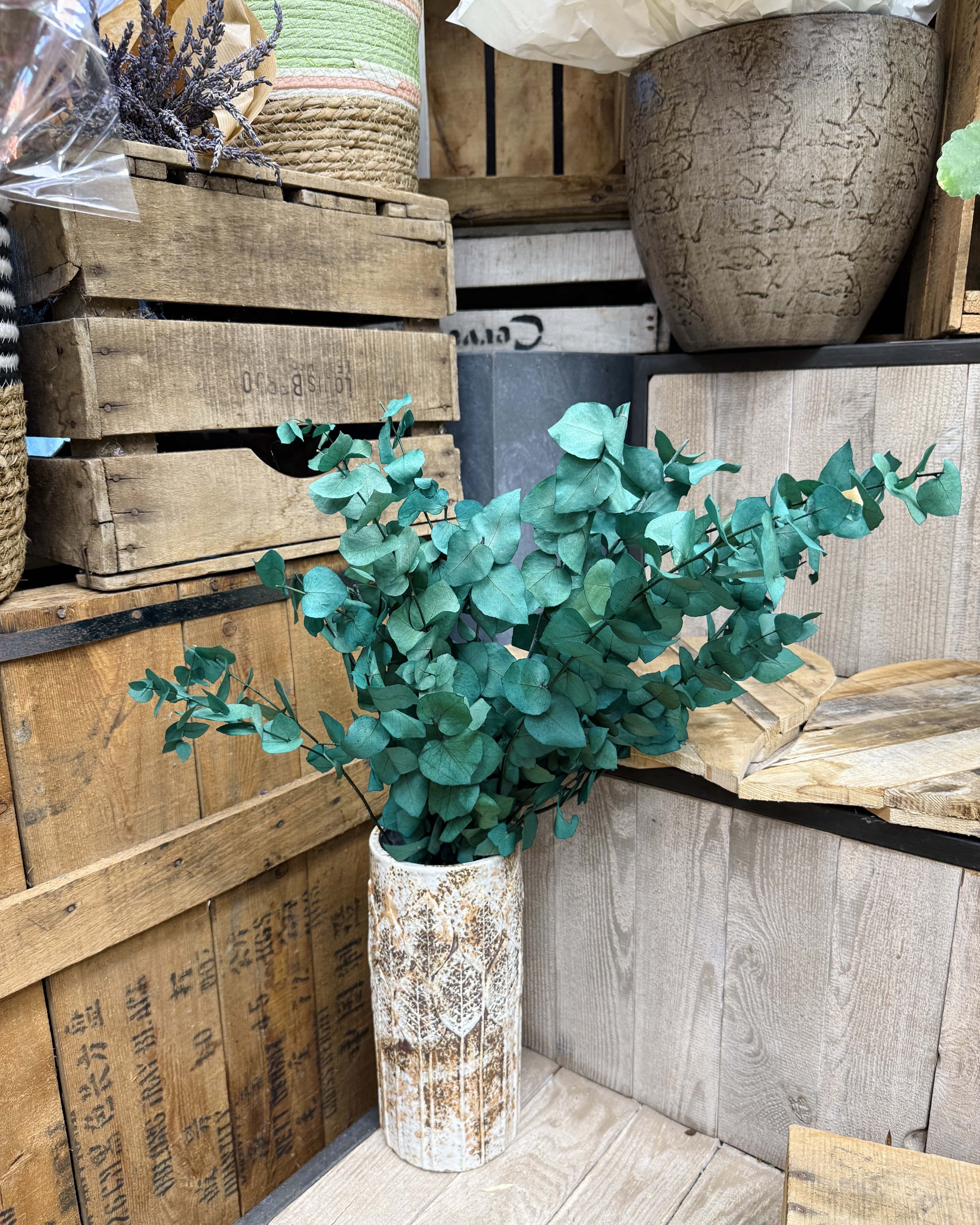 Bouquet d'eucalyptus stabilisé vert