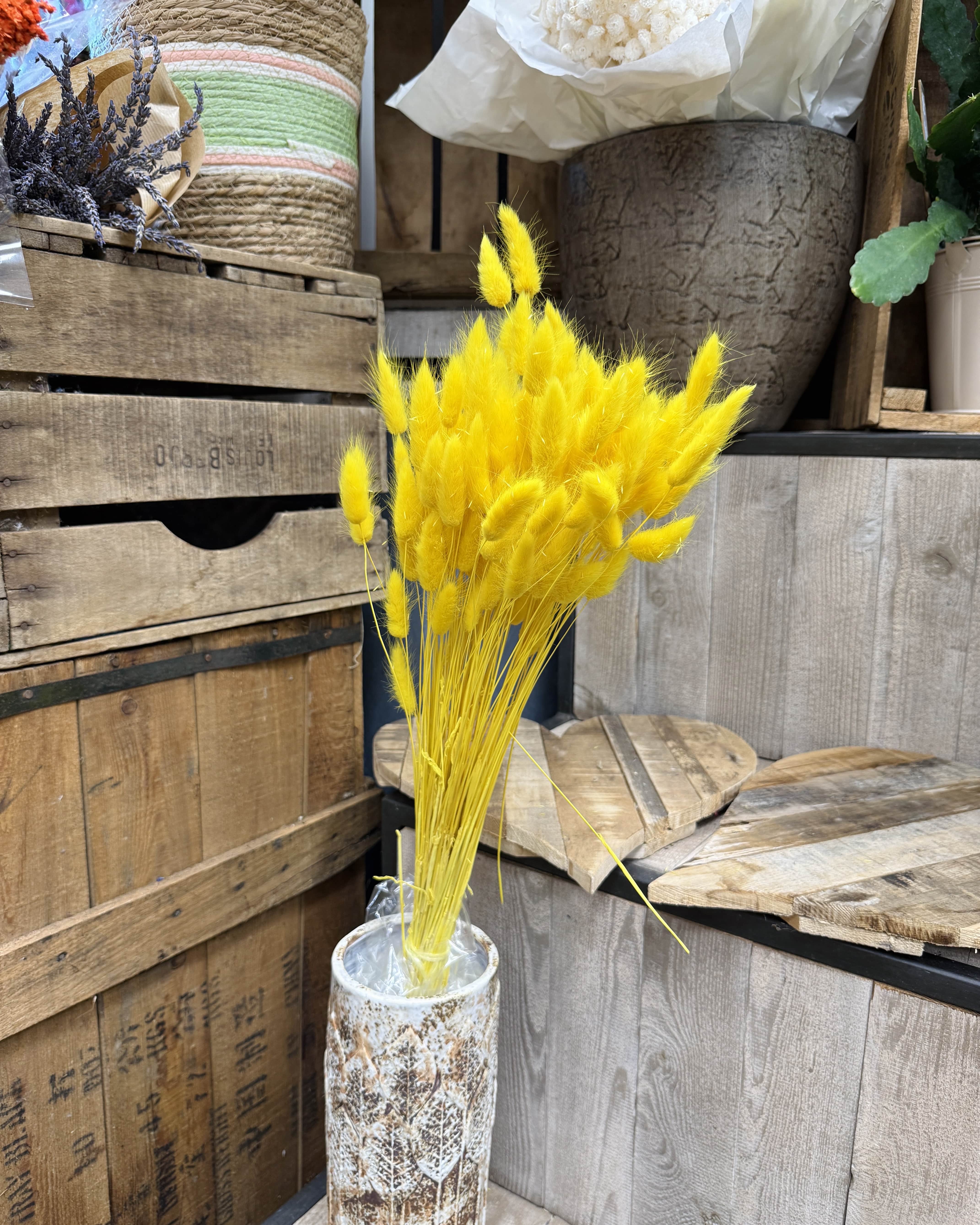Bouquet de lagurus jaune
