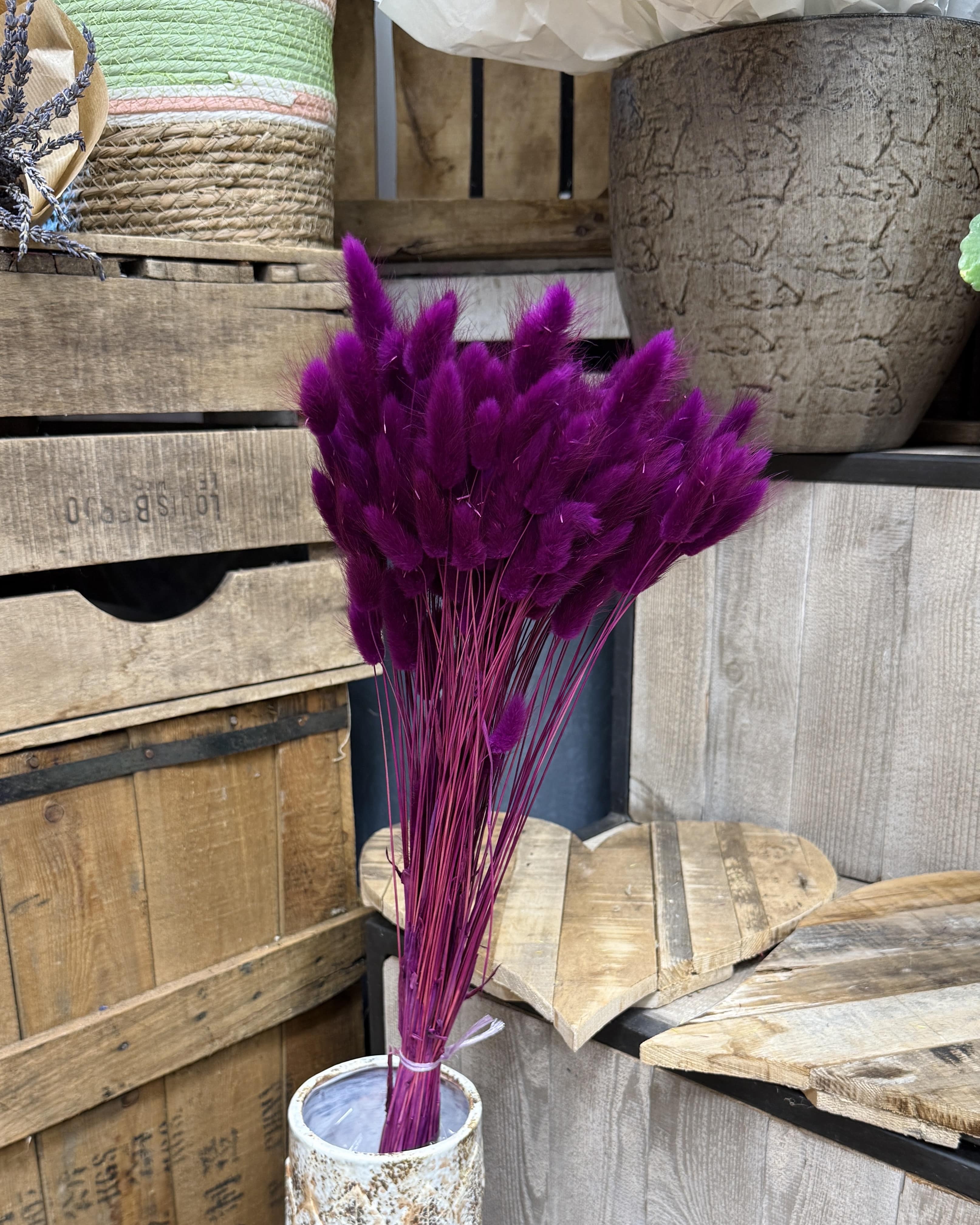 Bouquet de lagurus violet