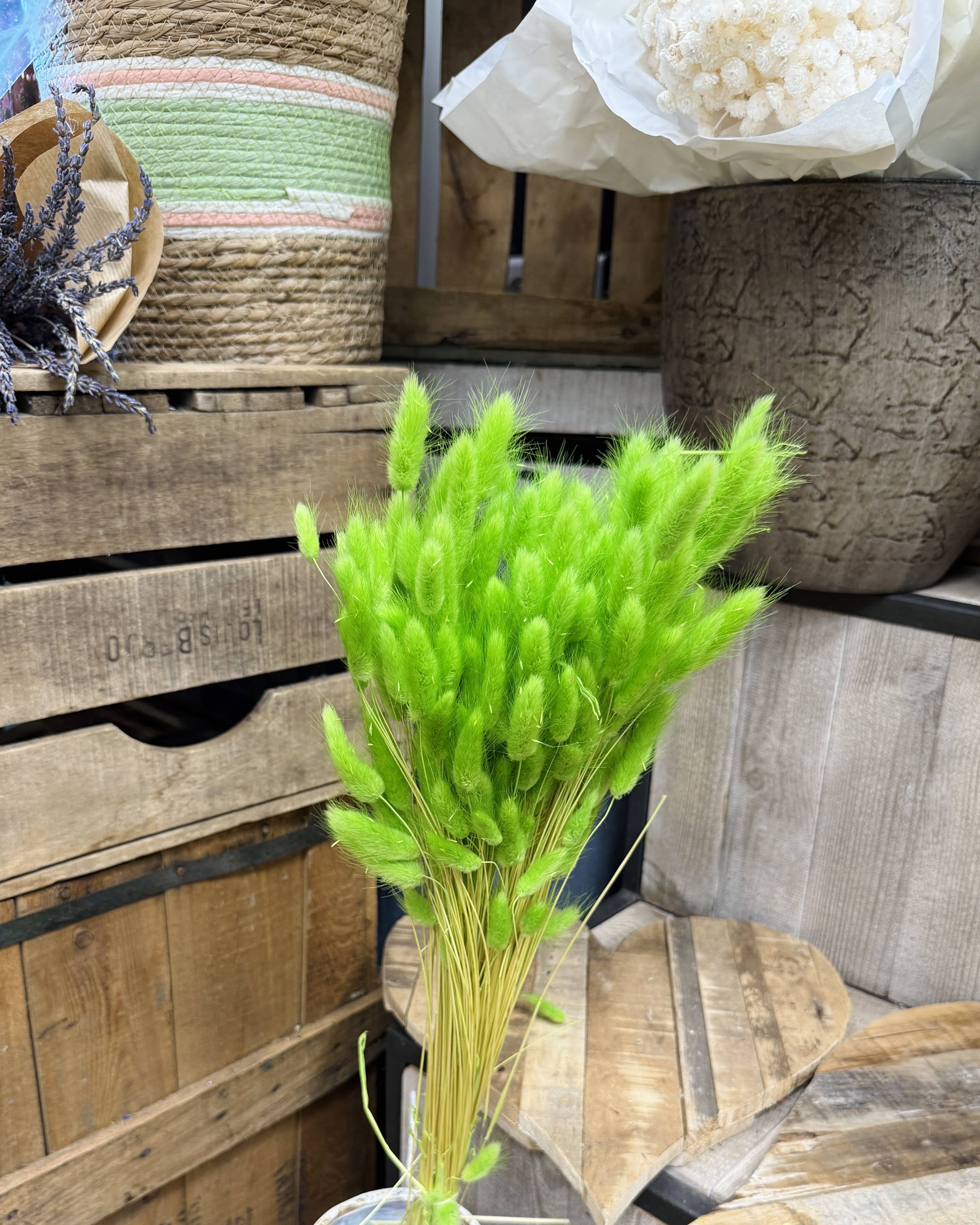 Bouquet de lagurus vert