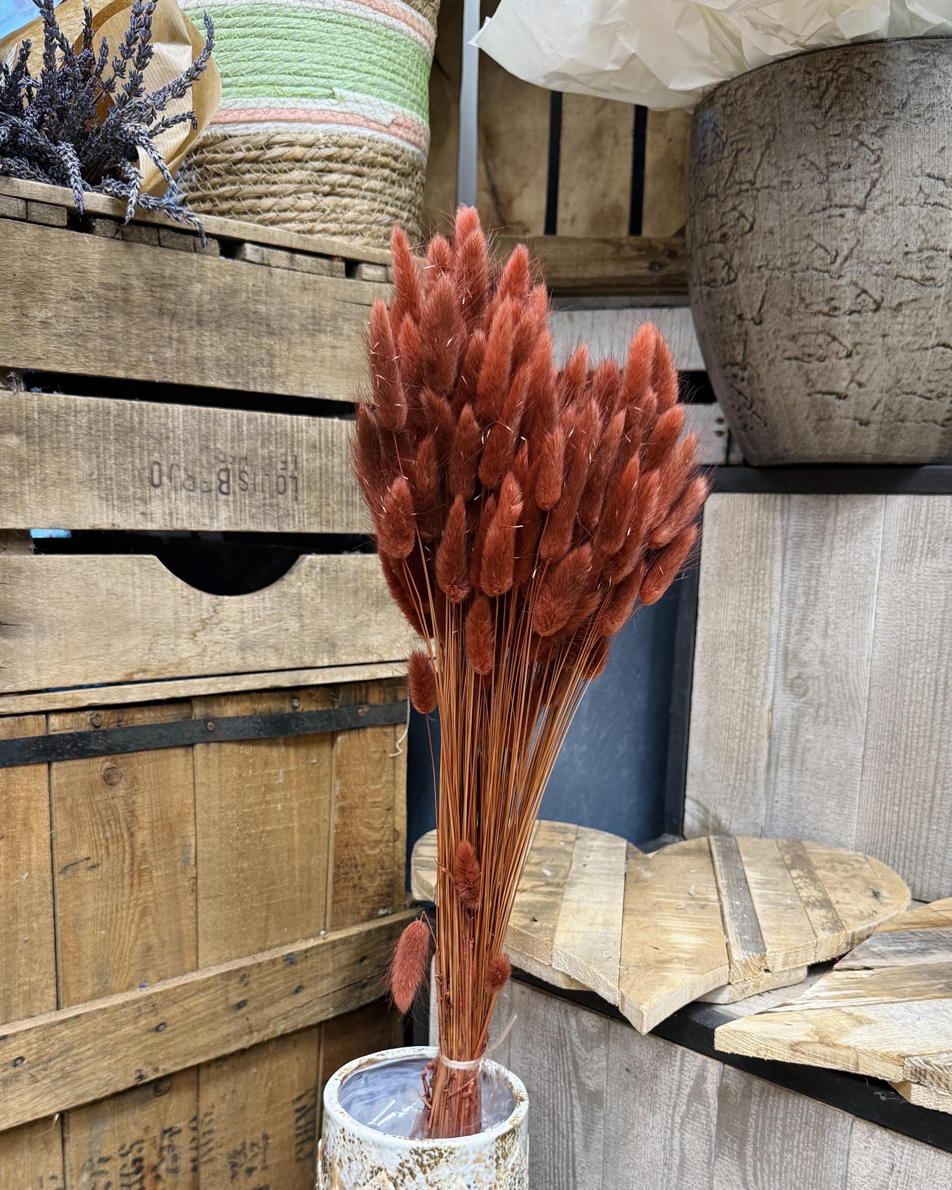 Bouquet de lagurus terracotta