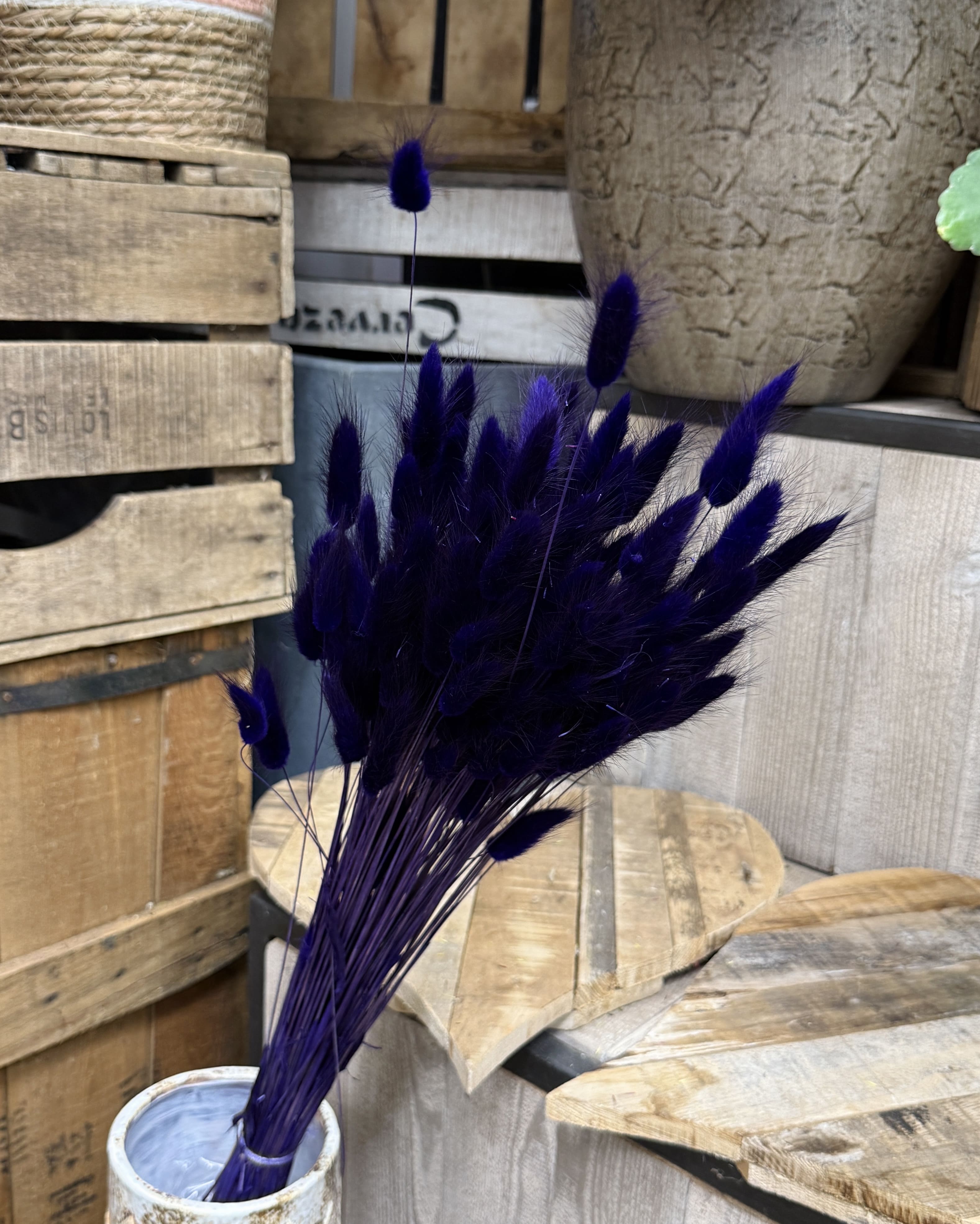 Bouquet de lagurus bleu