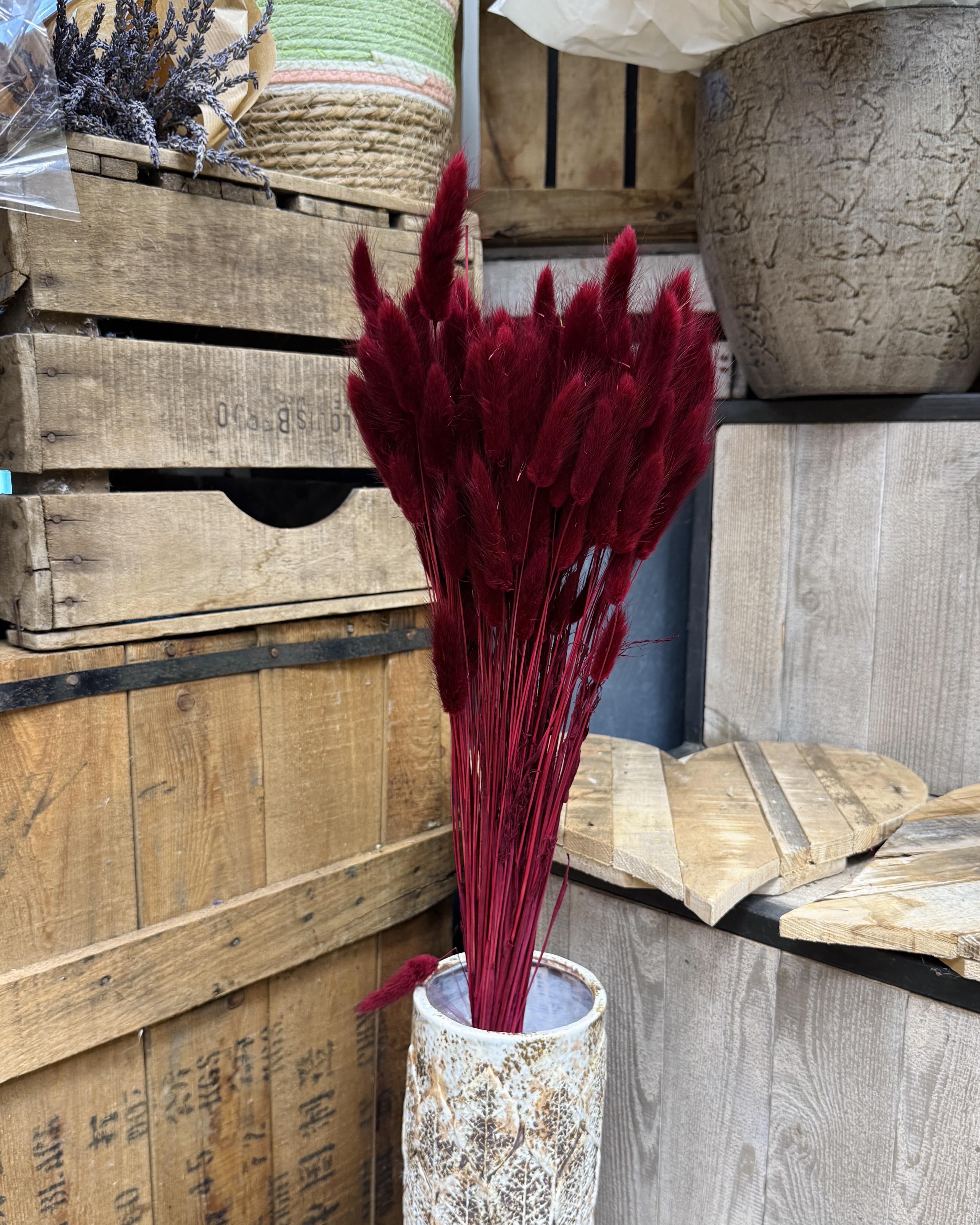 Bouquet de lagurus bordeaux