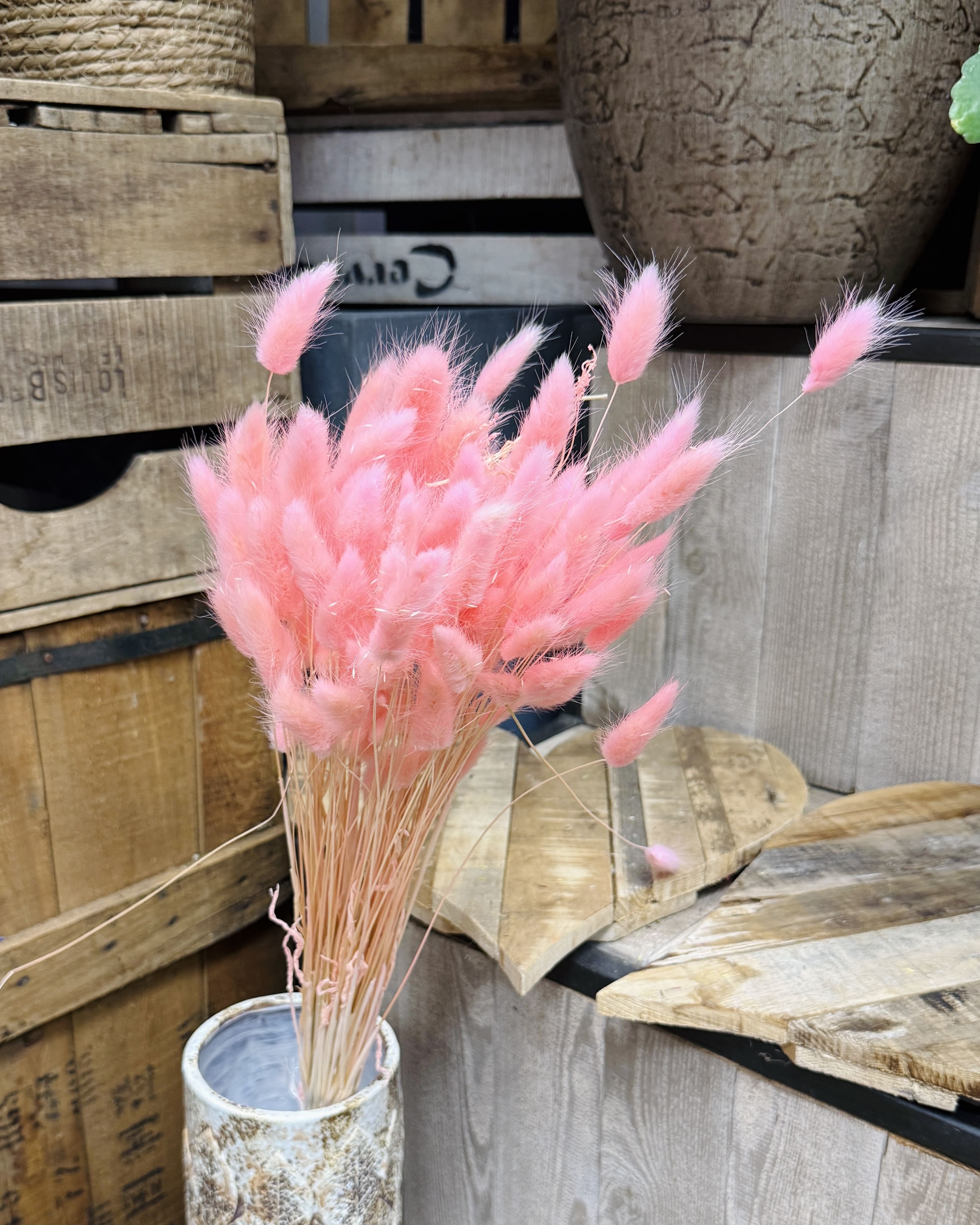 Bouquet de lagurus rose poudré