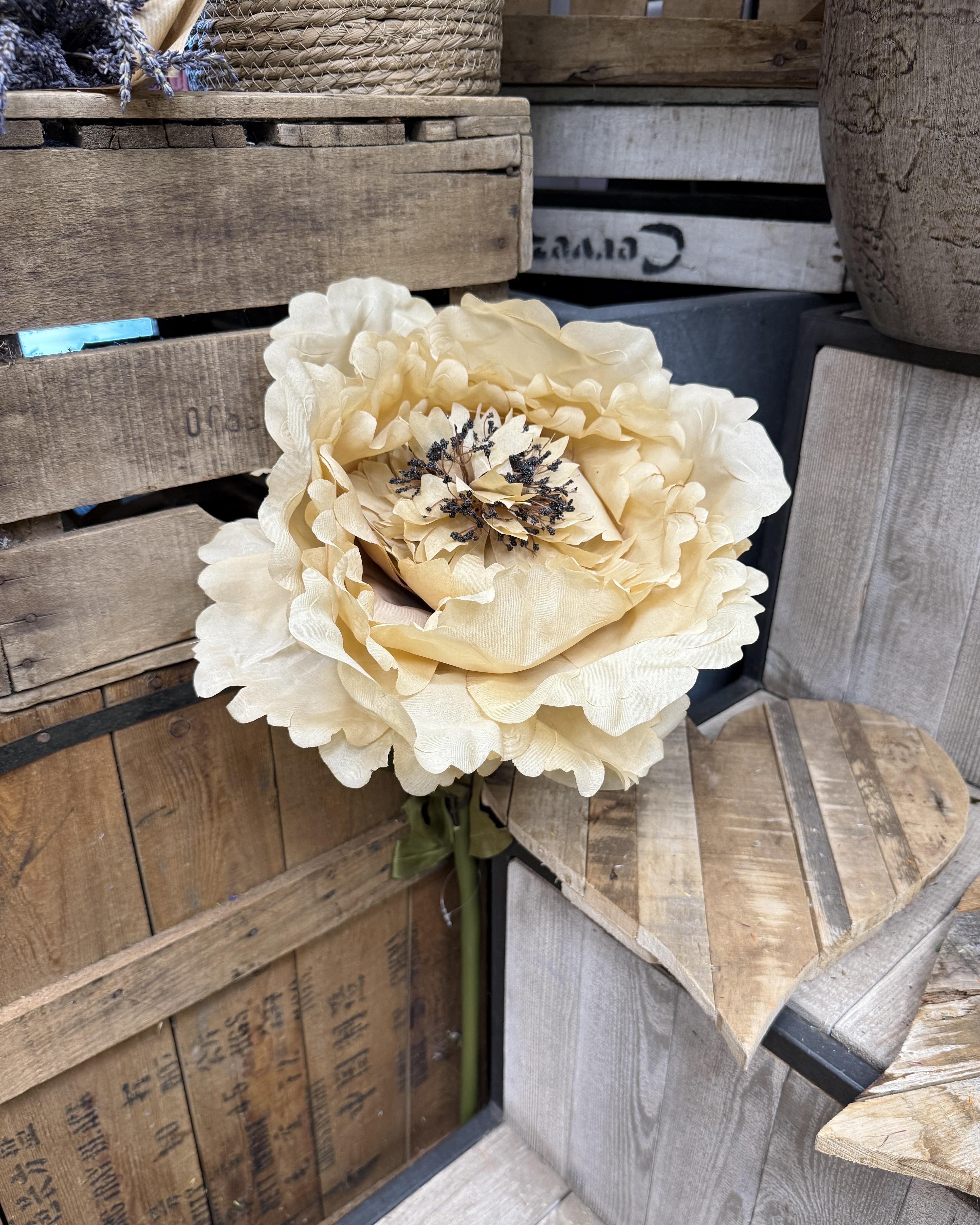 Petite pivoine artificielle crème Copy