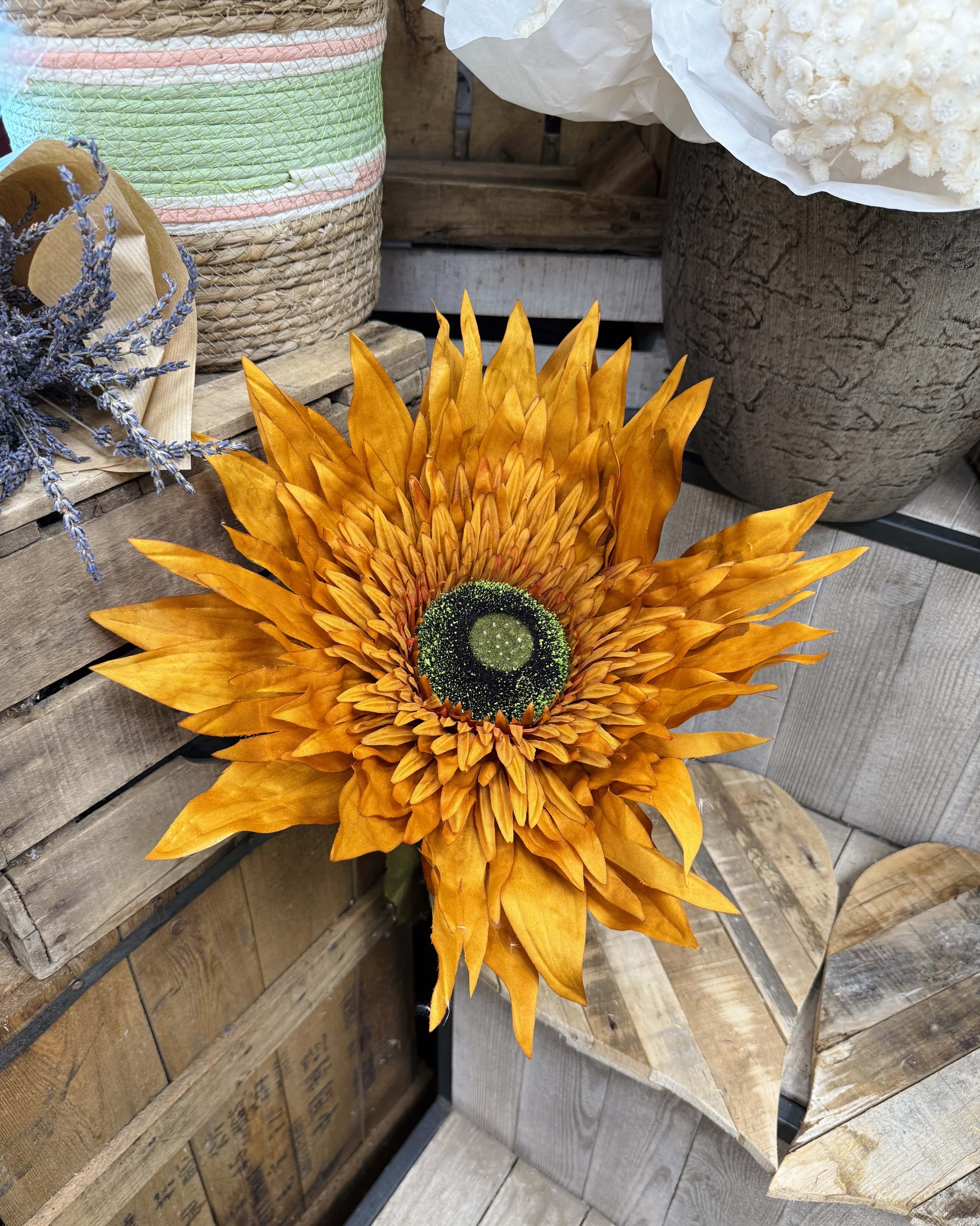Grand tournesol rouille 