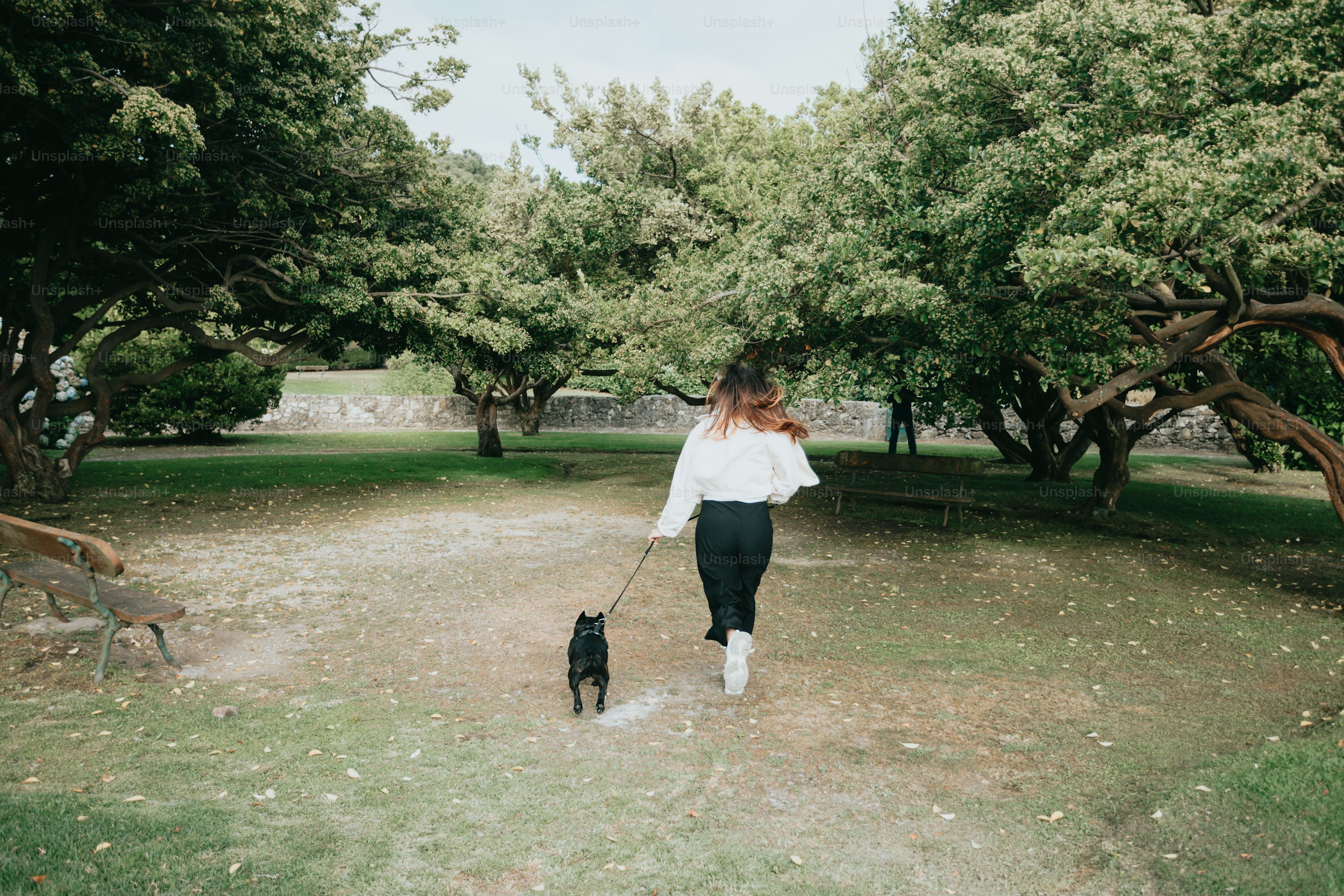 a woman walking a dog in a park