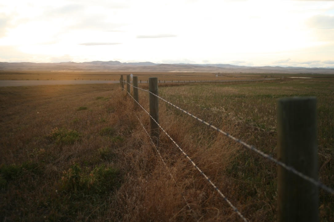 An agricultural field, representing CHM Communications' Canadian agriculture marketing work