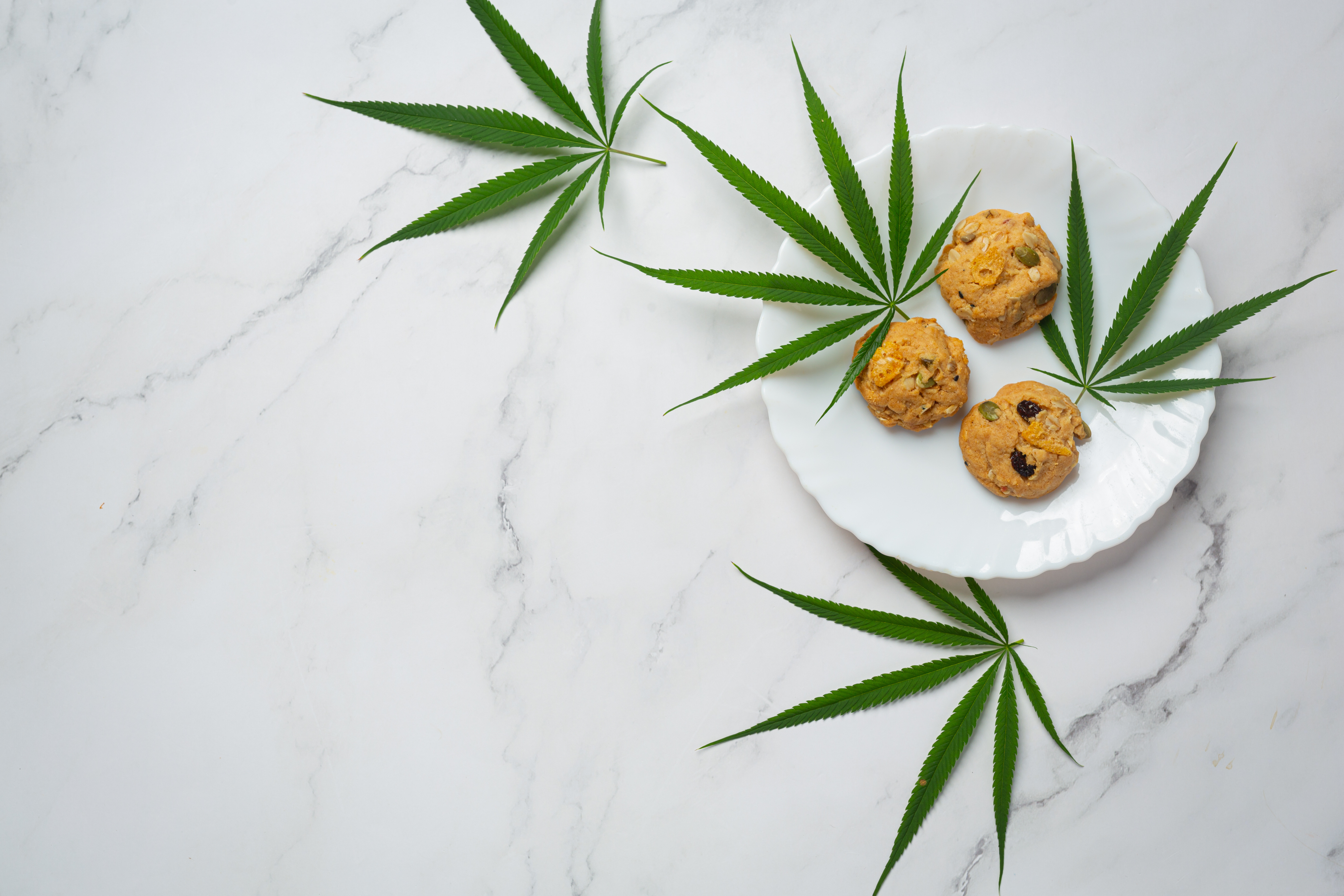 Cooking with Cannabis: A Beginner’s Guide