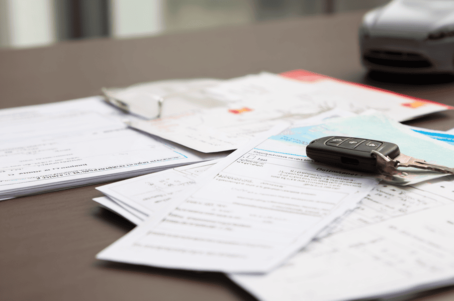 drivers license and vehicle registration