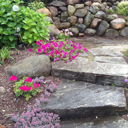 Planting & Softscape Integration