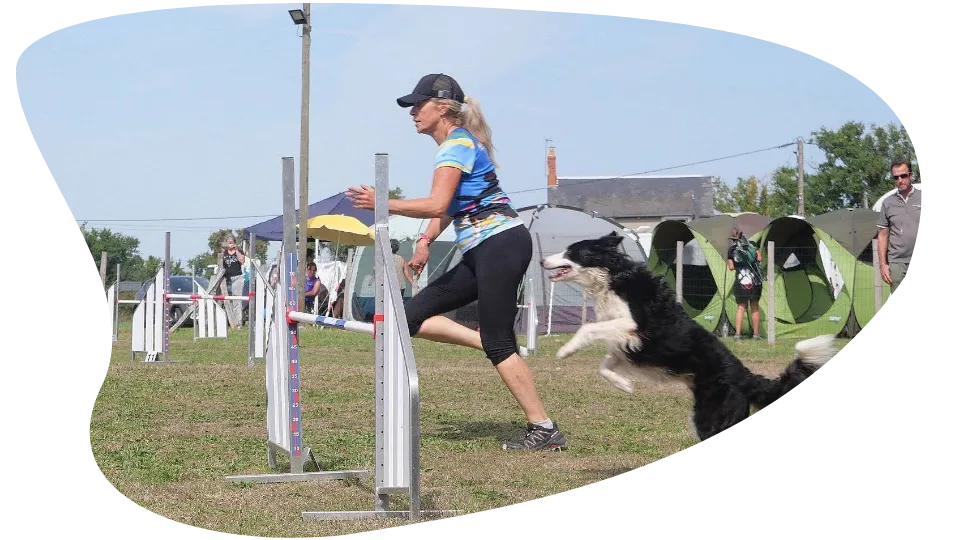 Parcours d'agility en Indre-et-Loire