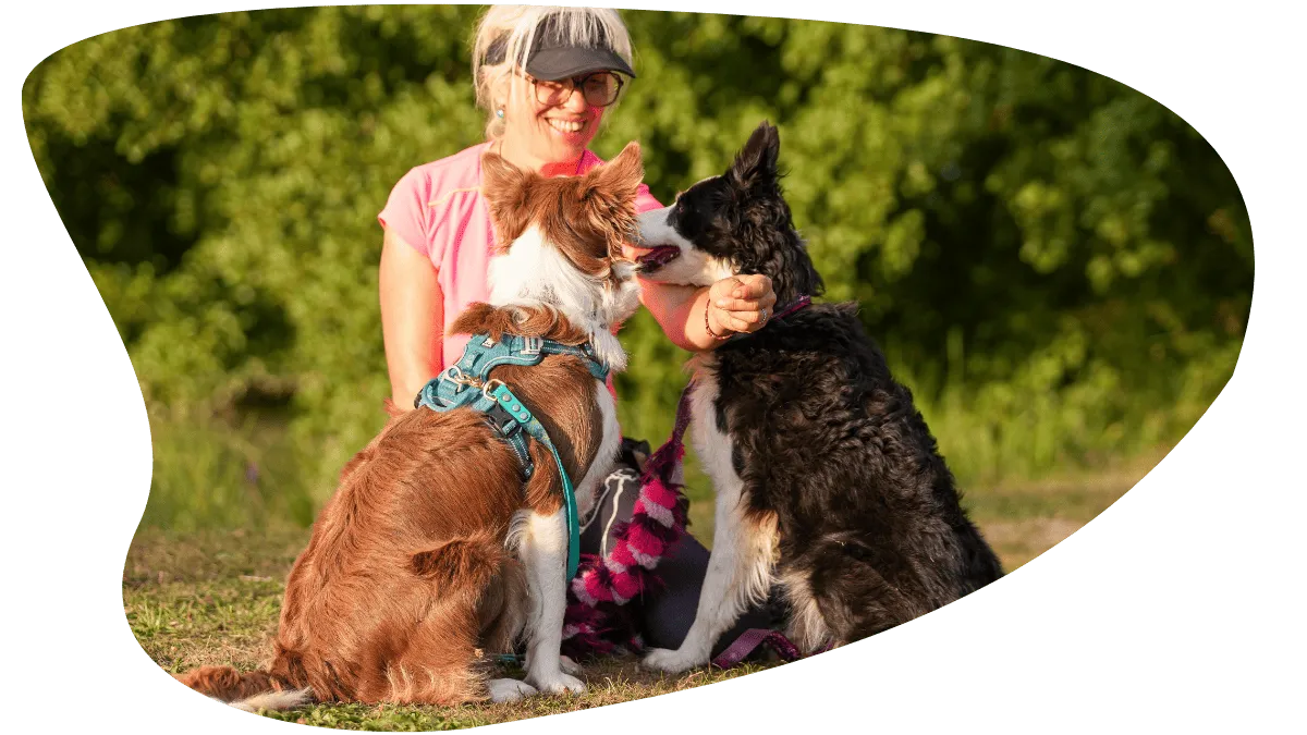 Anim-Agil : le parcours canin pour le loisir et la compétition