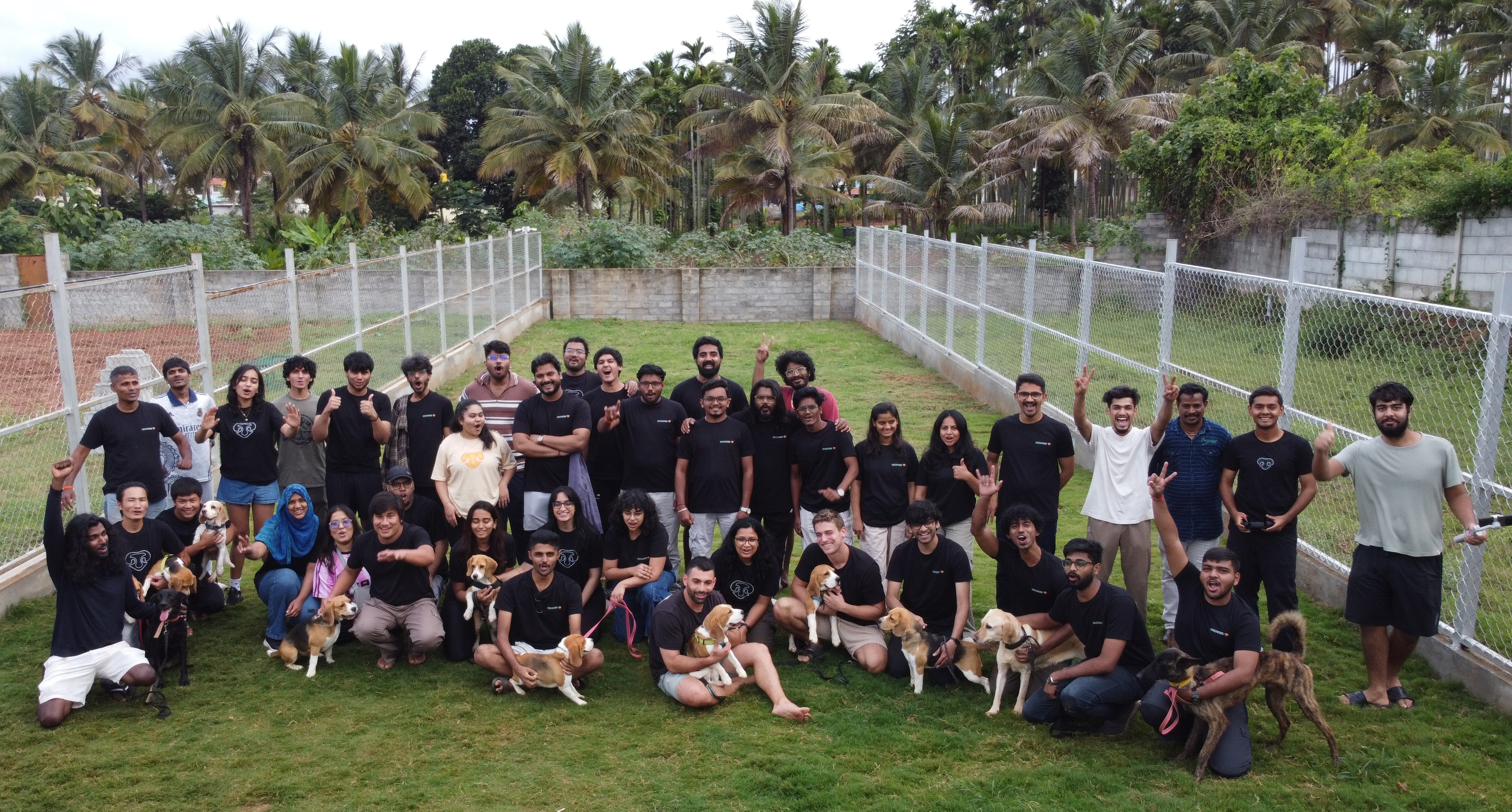 Team at Dognosis