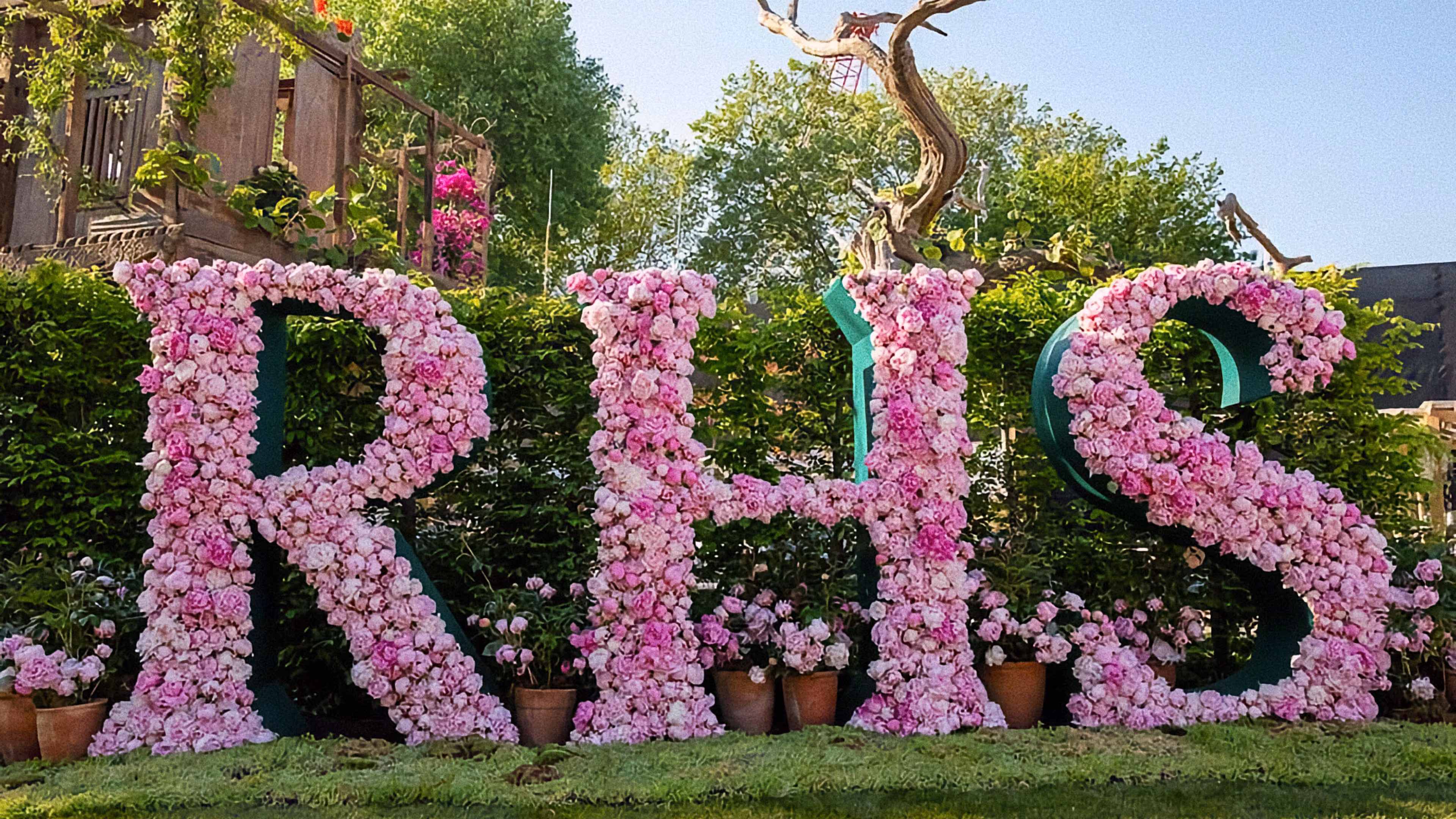 Luxury chauffeur car parked near the RHS Chelsea Flower Show 2025 in London