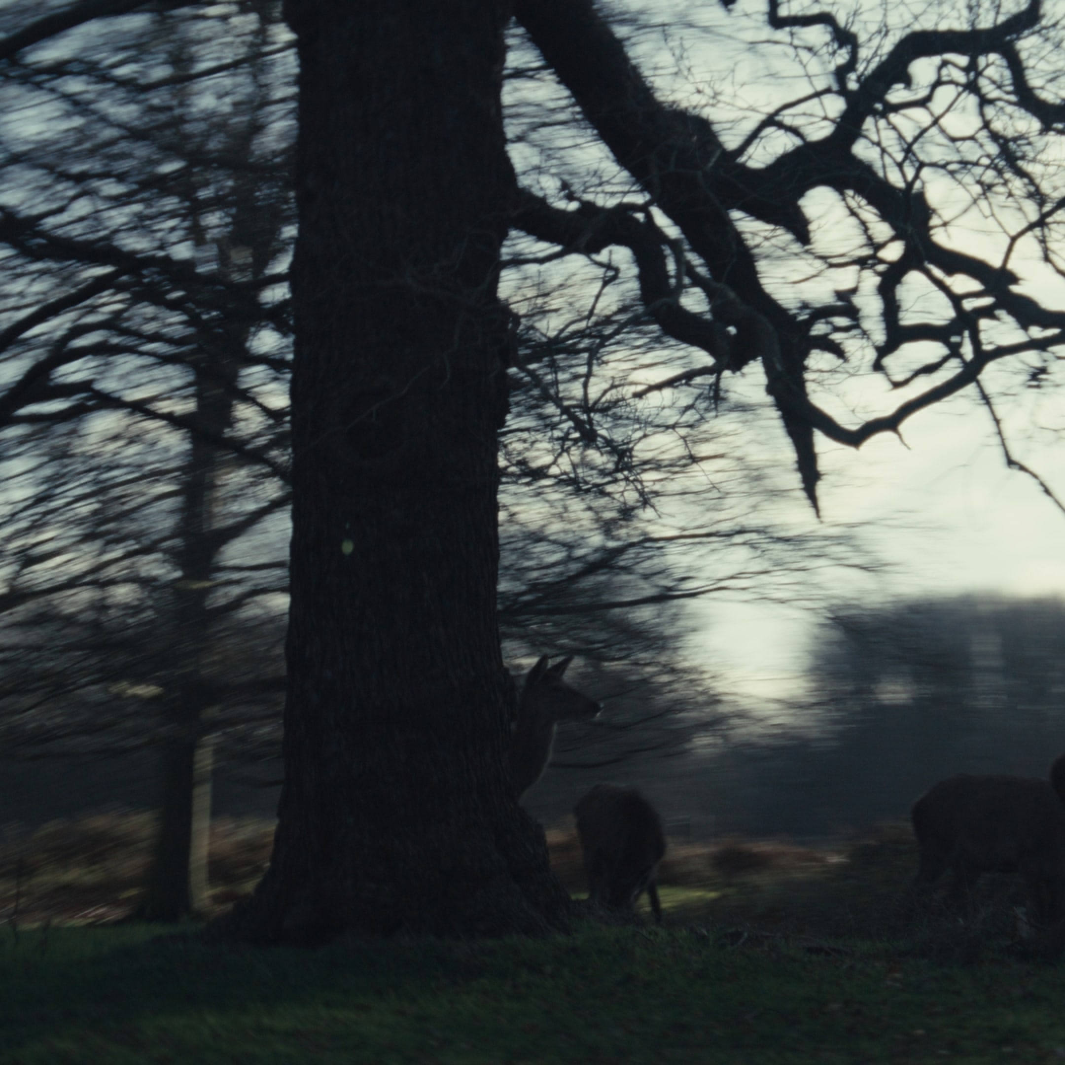 Luxury chauffeur day trips to the best UK attractions and locations.