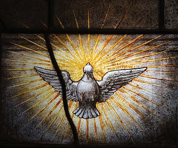 stained glass artwork of a dove surrounded by light