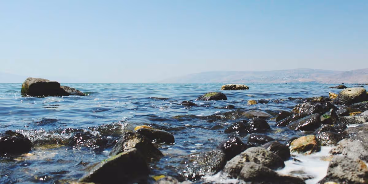 Calm lake shore with clear blue water and scattered dark rocks under a clear sky.