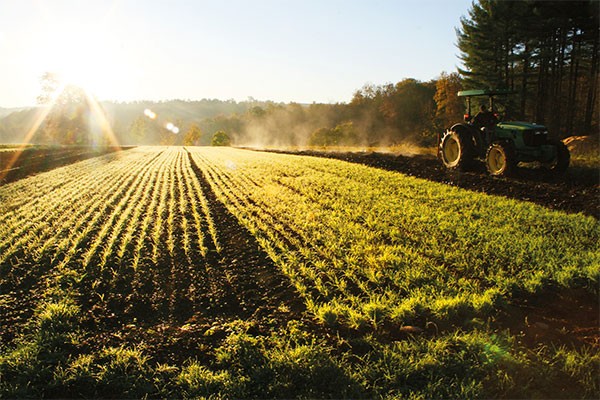 tractor driving near a field in the setting sun