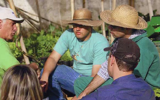 People working in the garden at Casa da Videira