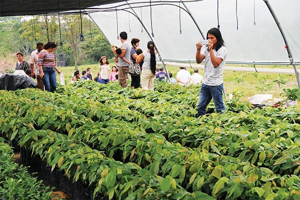 One of the Reach Beyond greenhouses in Ecuador