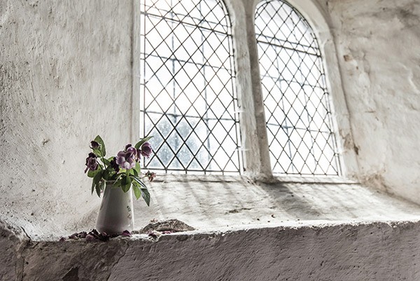 flowers on a window sill