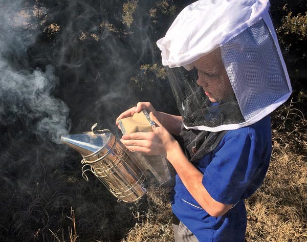 We keep some honey bees in top bar hives. 