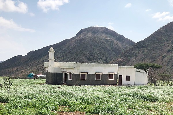 mosque in Djibouti