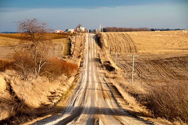 photo of a dirt road through brown fields, Iowa, January 2012, Tony Fischer