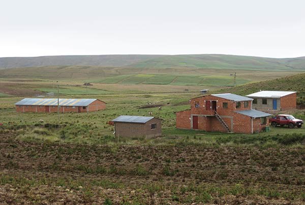 The community’s  farm on the Altiplano