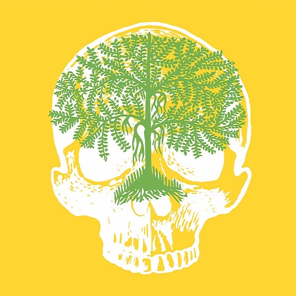 illustration of a tree laid over an illustration of a skull