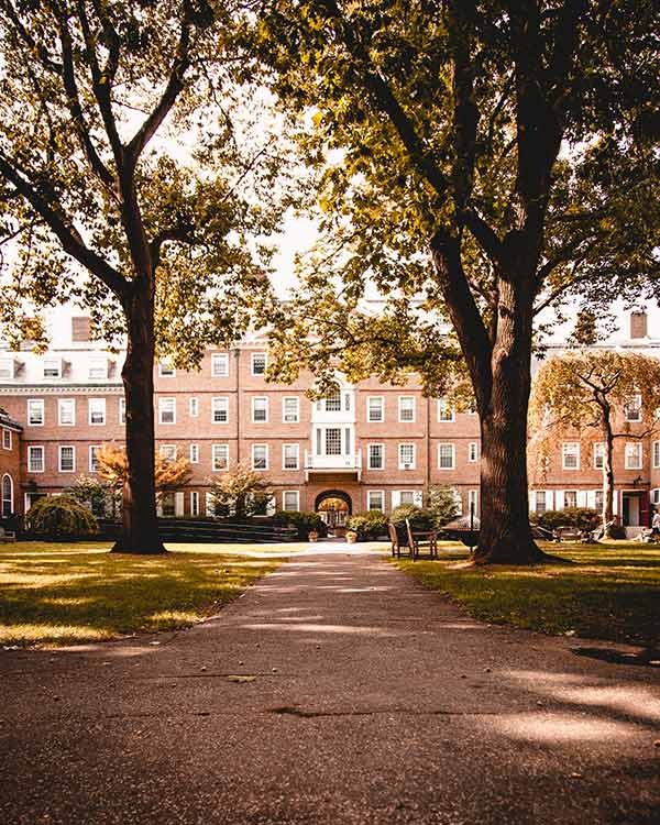 a path leading to a university building