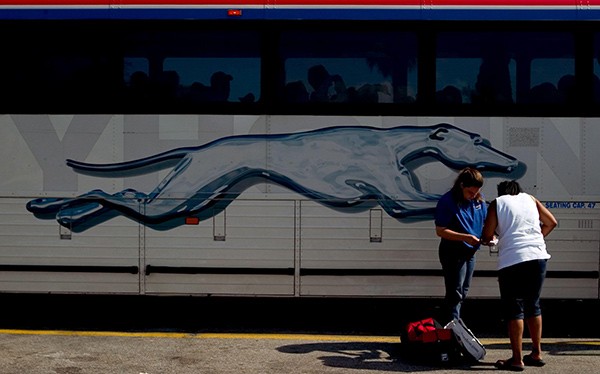 a passenger boarding a Greyhound bus