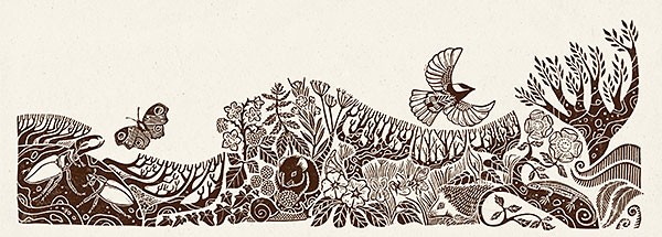 illustration of plants, birds and butterflies