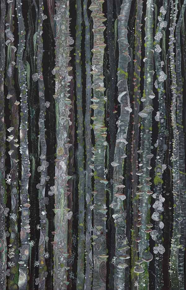 illustration of lichen and fungus growing on trees