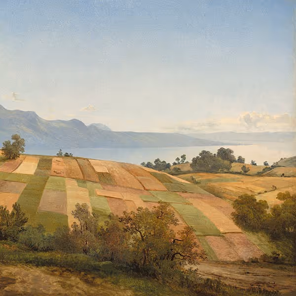 Patchwork fields with trees in a rural landscape under a blue sky with mountains in the background.