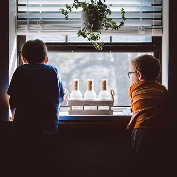 Two boys looking out a window with a hanging plant and three glass bottles on the sill.