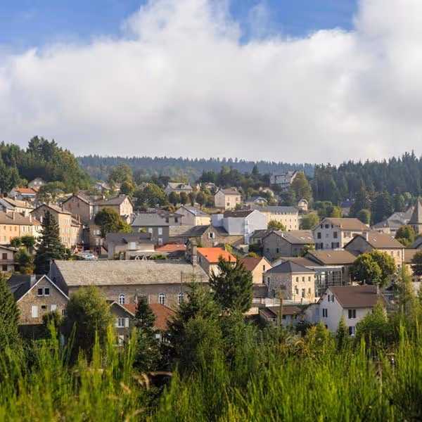 Town with stone and brick houses surrounded by trees and greenery under a cloudy sky.