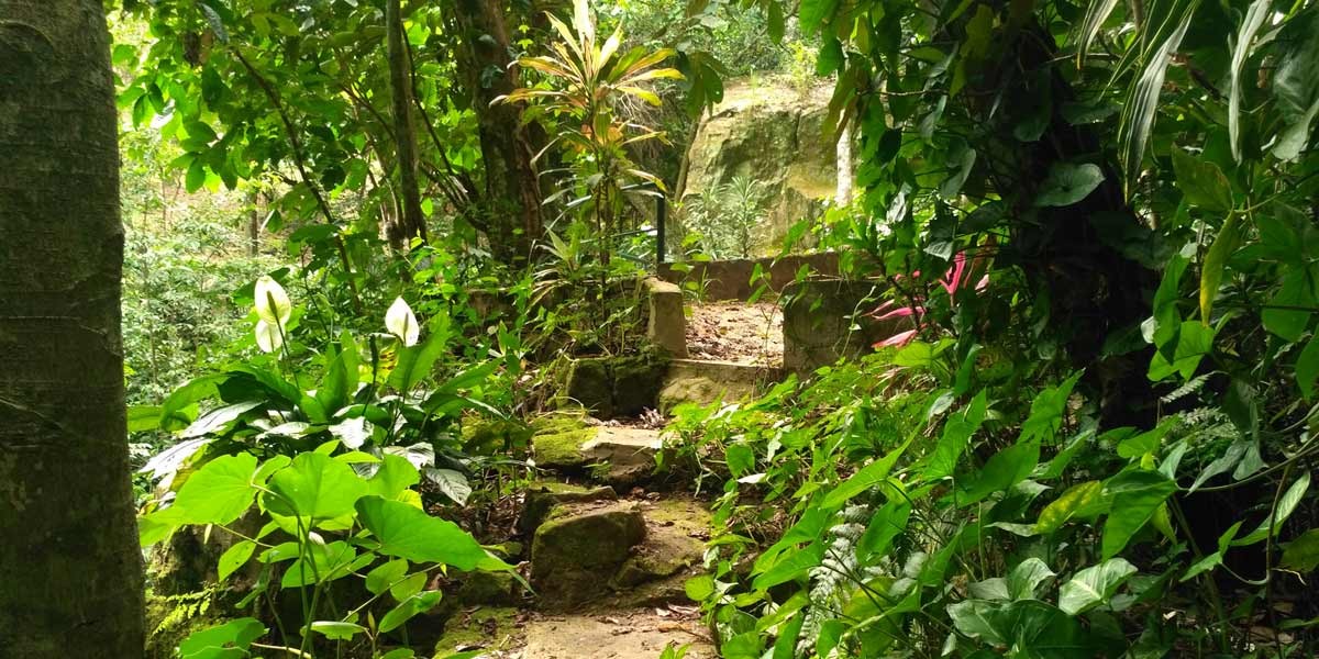 Path in woods at Manantial, Paraguay