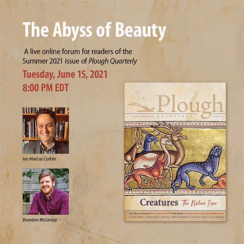 Live Forum: The Abyss of Beauty