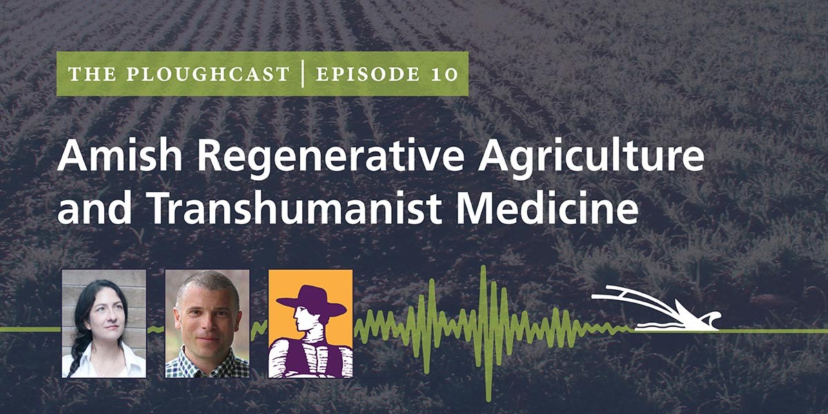 Podcast cover for The Ploughcast Episode 10 on Amish regenerative agriculture and transhumanist medicine.