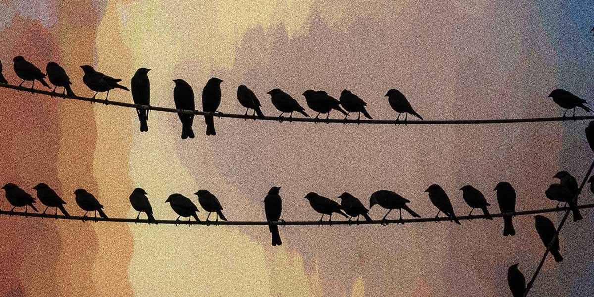 Silhouettes of multiple birds perched on two parallel wires against a colorful textured sky.